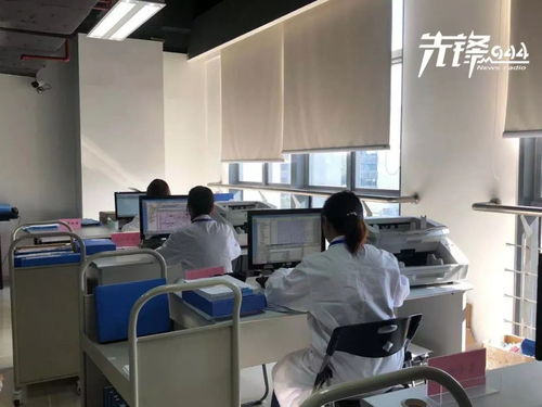 檔案是什么，又應該如何保存？福州市檔案局給你答案——承接檔案服務外包須知